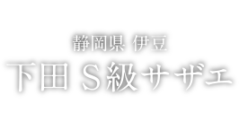 FOOD 静岡県 伊豆 下田 S級サザエ