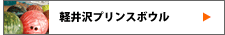 軽井沢プリンスボウル