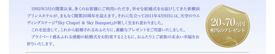 20〜70万円相当のプレゼント