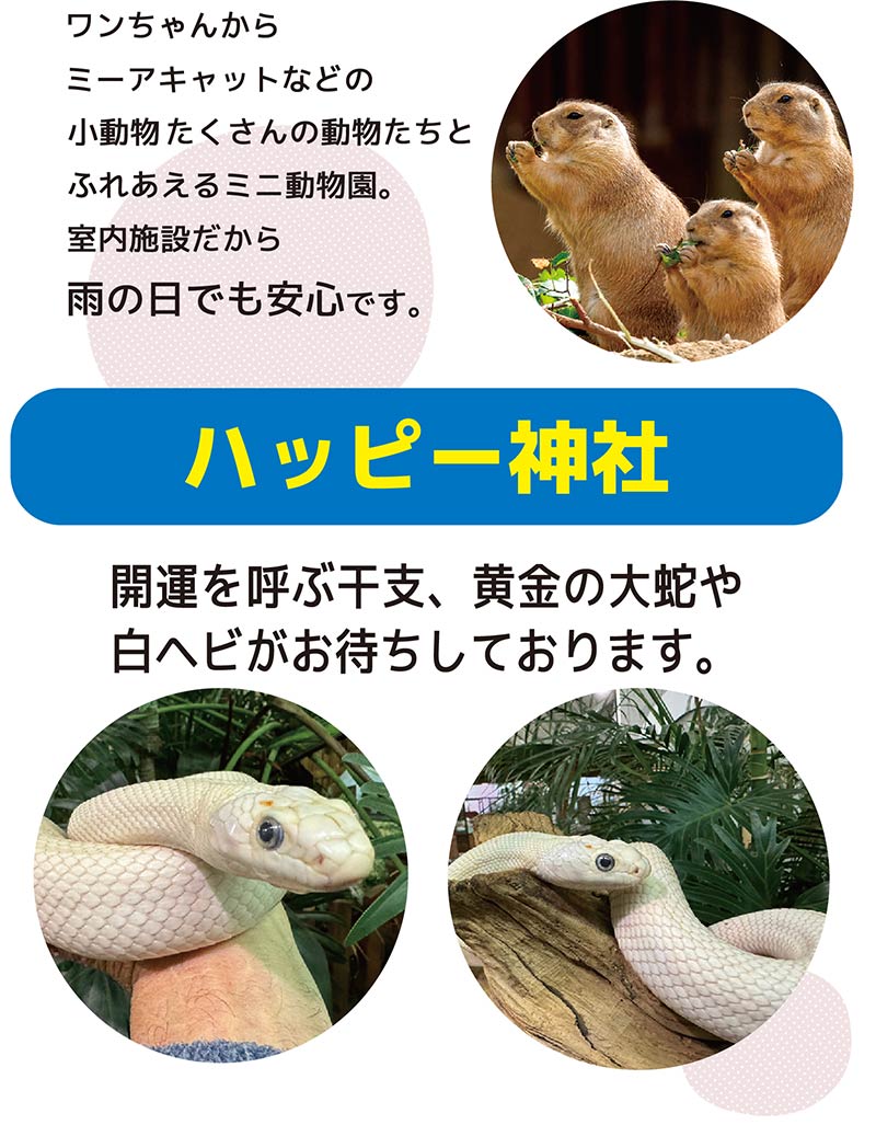 だっこして！ZOO！