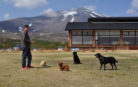 旅行もワンちゃんと一緒 ワンちゃんと素敵な休日 軽井沢プリンスホテル イースト