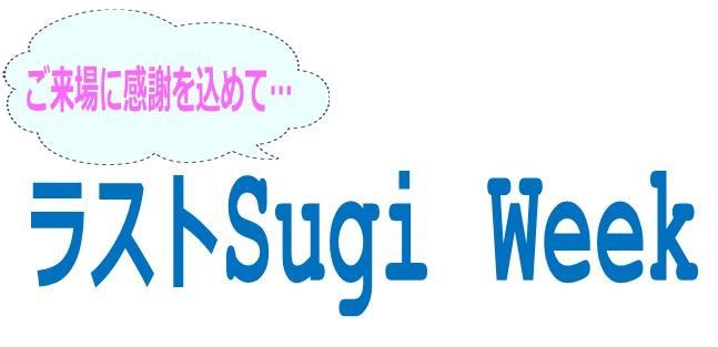 年3月23日 月 29日 日 のチケットでお得 ラストsugi Week 妙高 杉ノ原スキー場