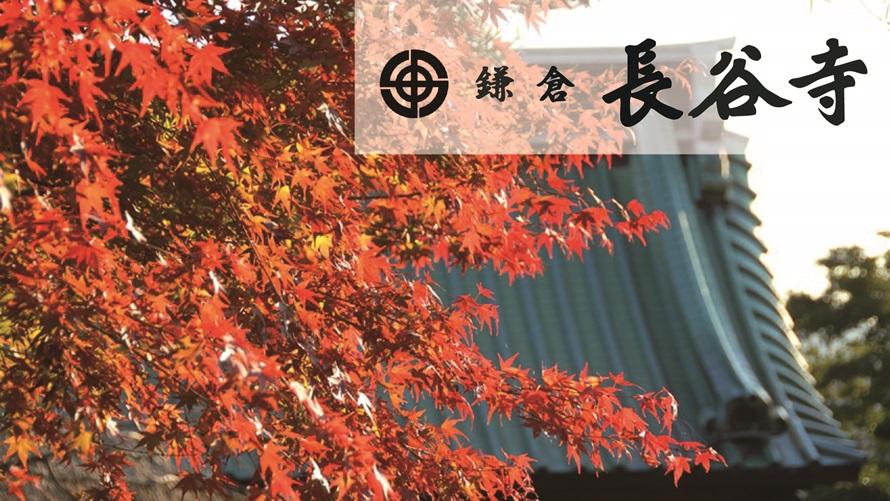 鎌倉で過ごす秋「紅葉」を満喫 　長谷寺拝観券付きプラン