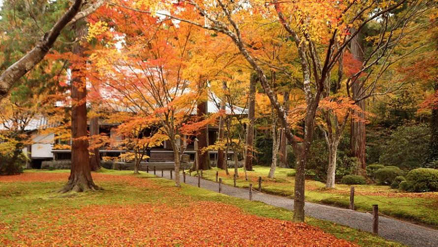 三千院の紅葉の様子