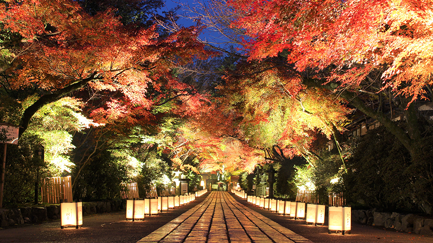 石山寺の紅葉 イメージ