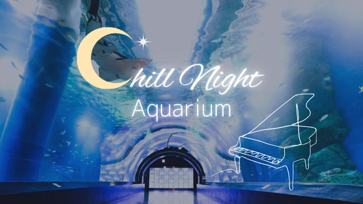 【芸術の秋】Chill Night Aquarium Stay