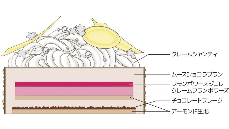 ムースショコラブラン断面図