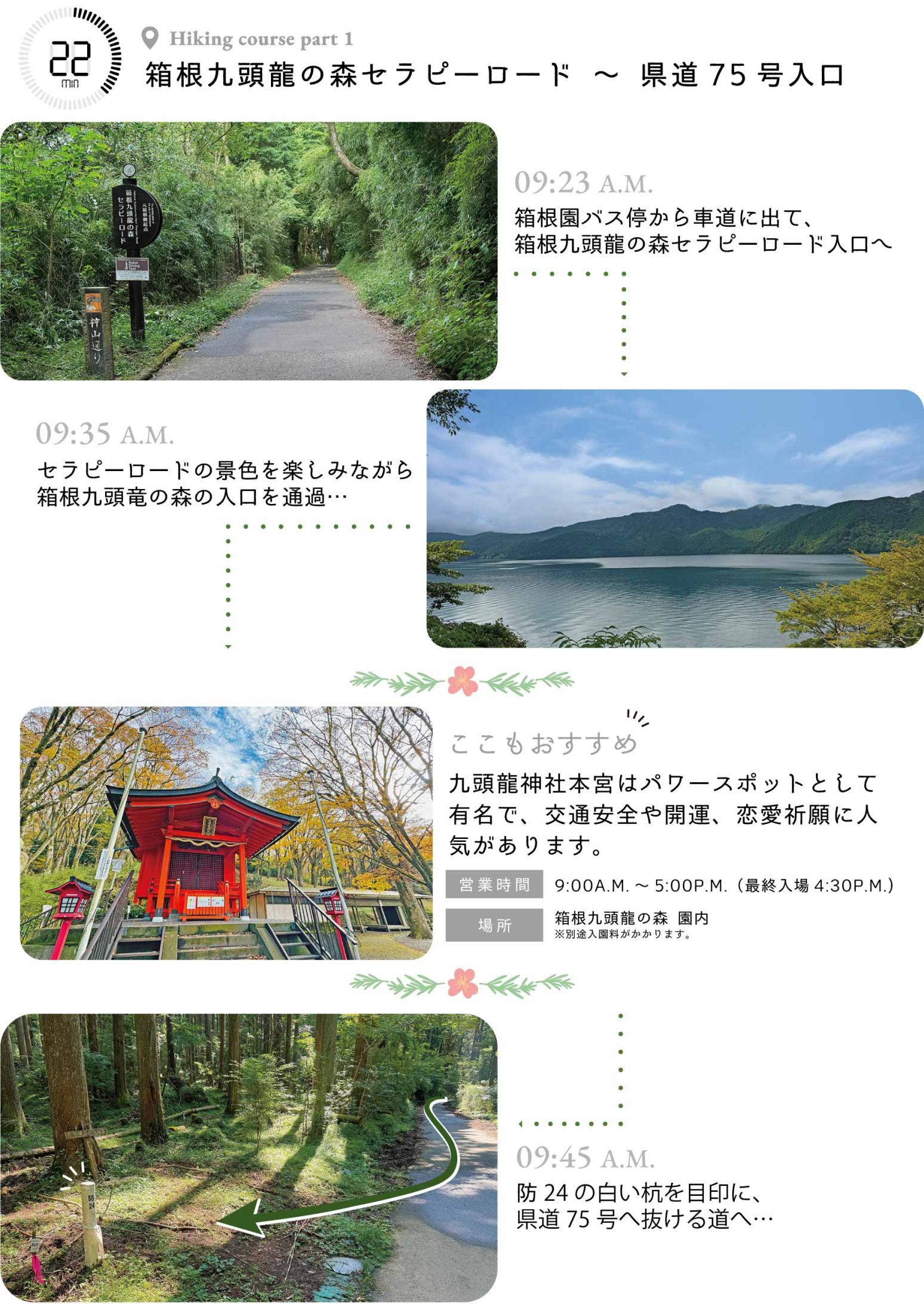 箱根九頭龍の森セラピーロード、芦ノ湖、九頭龍神社、防24、県道75号