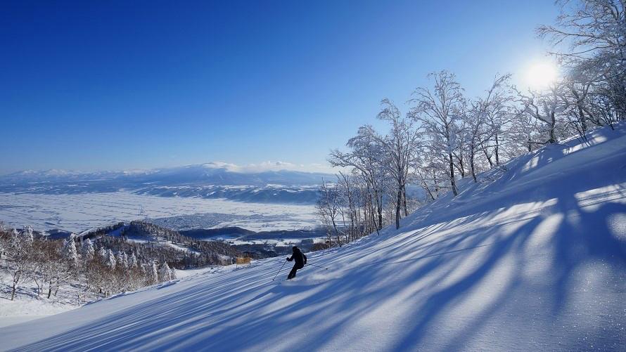 富良野スキー場