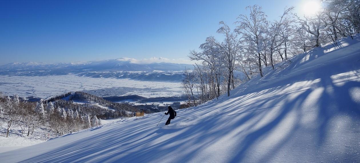 富良野スキー場