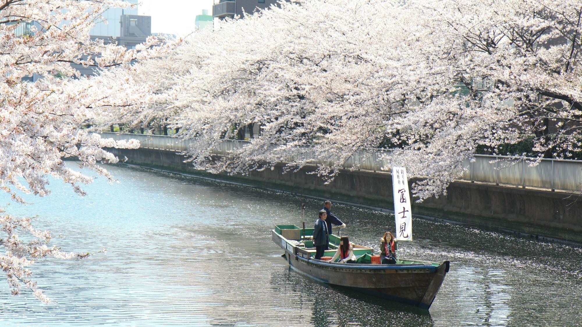 Tide of SAKURA ～潮見の桜づくし体験～