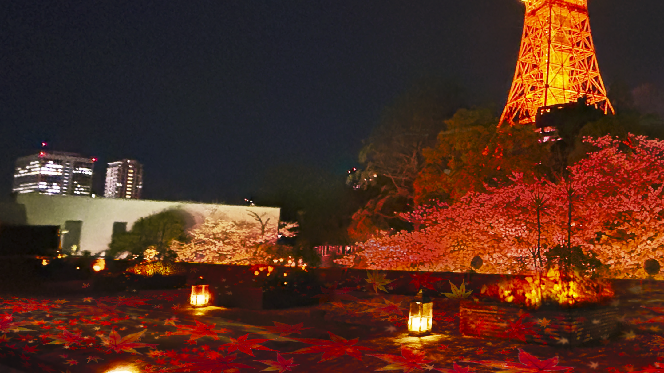 東京のシンボルである東京タワーを目前に見上げる芝公園の中にあるテラスでは、昼は開放的なカフェ営業、夜は東京タワーの煌めきとともにシャンパンやビールをお楽しみいただけます。