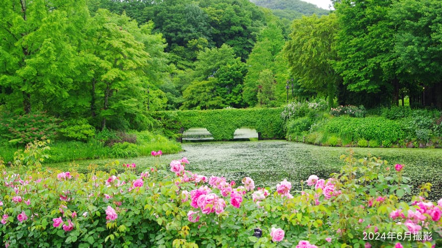 多くの花々に囲まれる贅沢な庭園、レイクガーデン