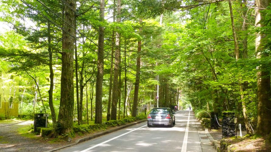 並木道が続く軽井沢ならではの景色