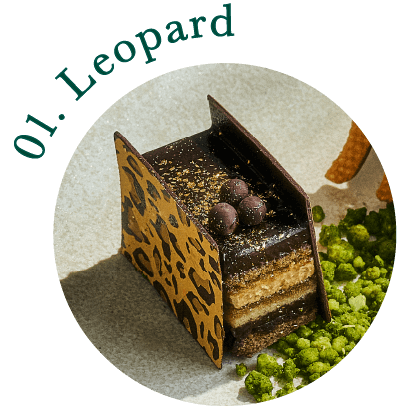 01.Leopard