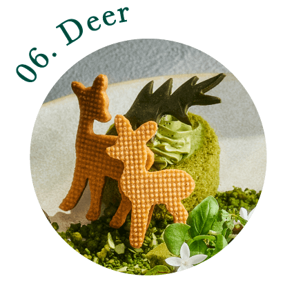 06.Deer