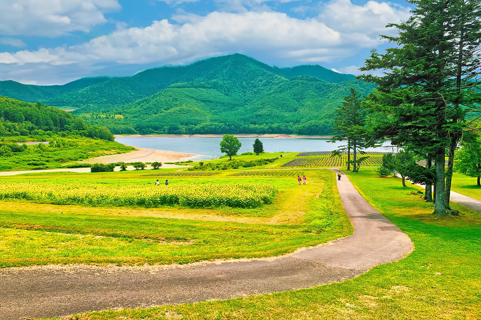 夏の北海道イメージ