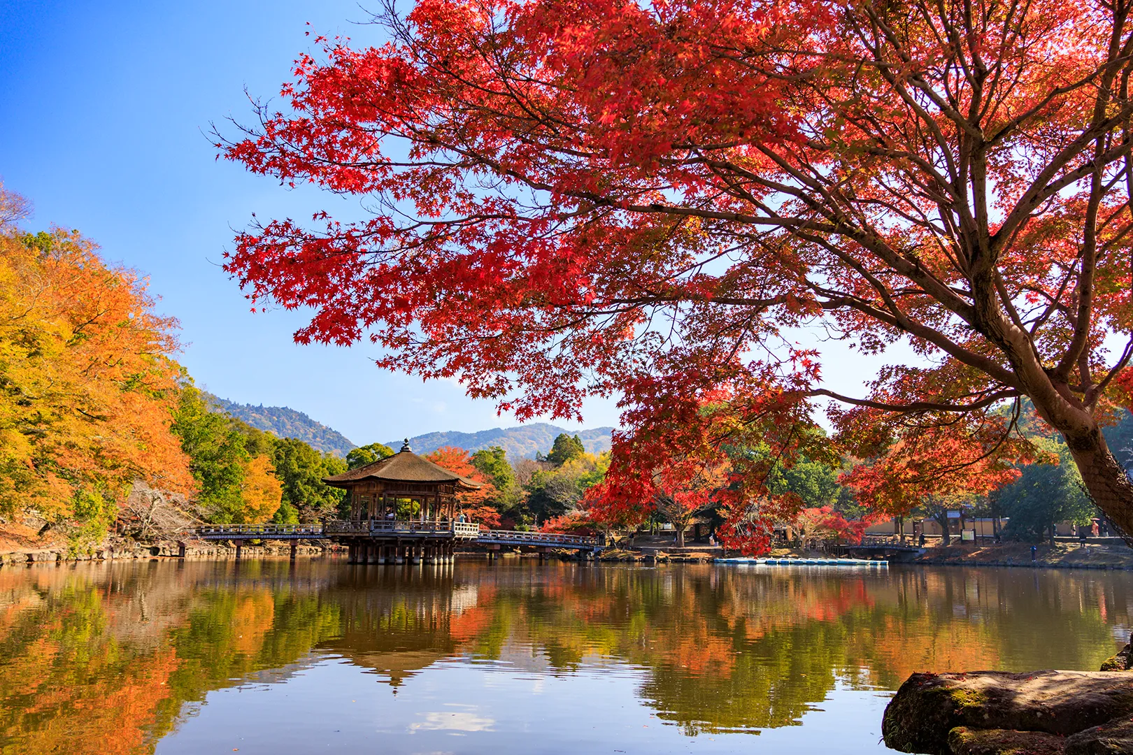 奈良公園