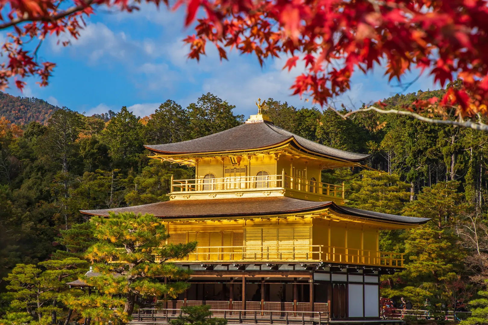 金閣寺