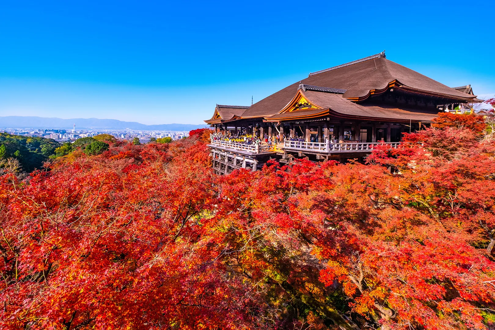 清水寺の舞台と紅葉