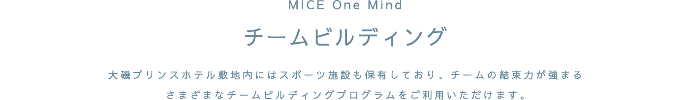 MICE One Mind チームビルディング