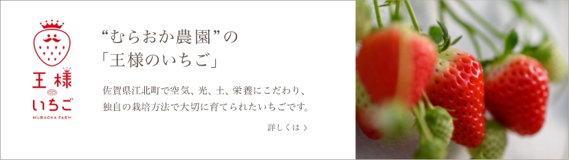 バナー：むらおか農園の「王様のいちご」