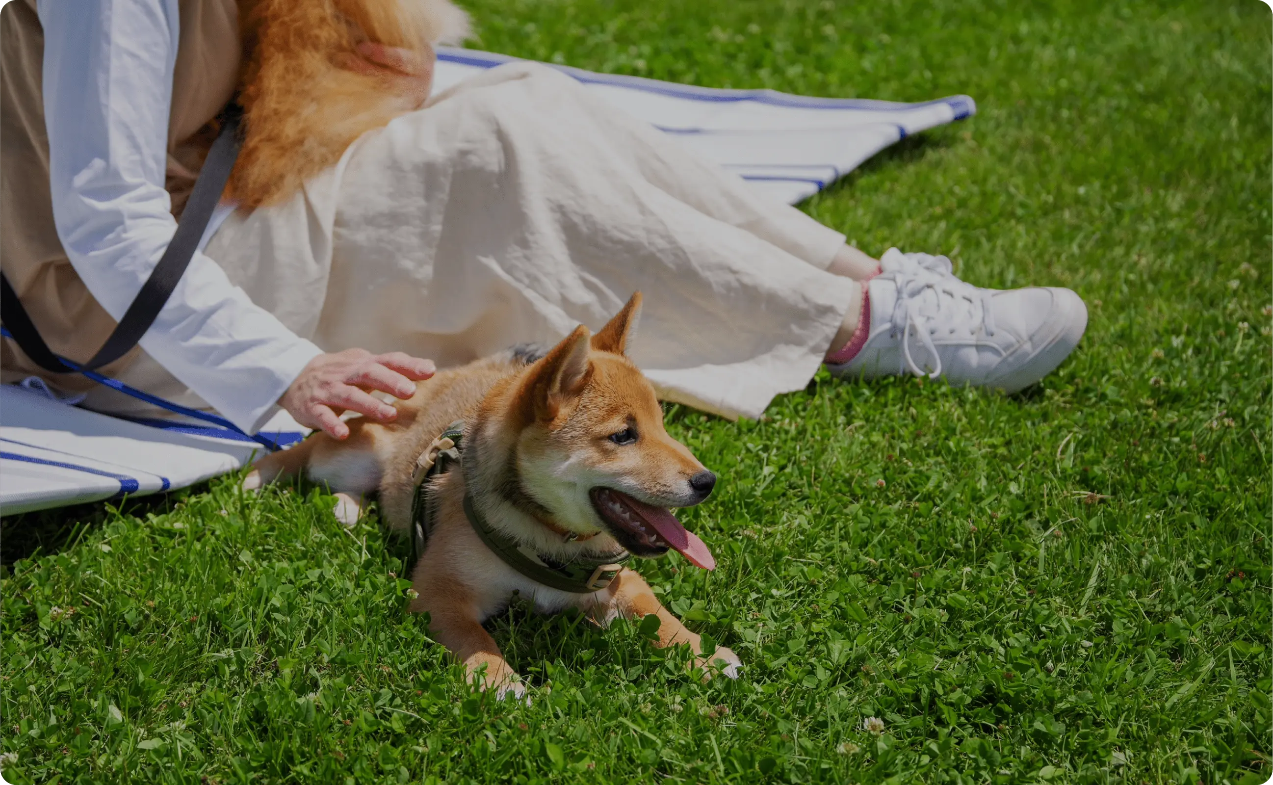 愛犬・愛猫と一緒に泊まれるホテル