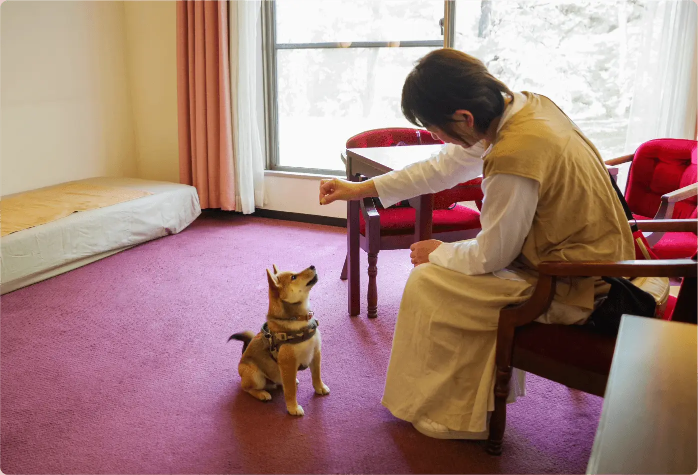 ワンちゃんと一緒に過ごせる森の中のドッグコテージ