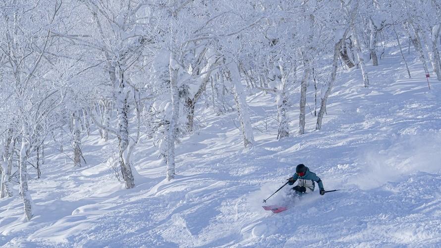 リフト券付きでお得な春のゲレンデパック