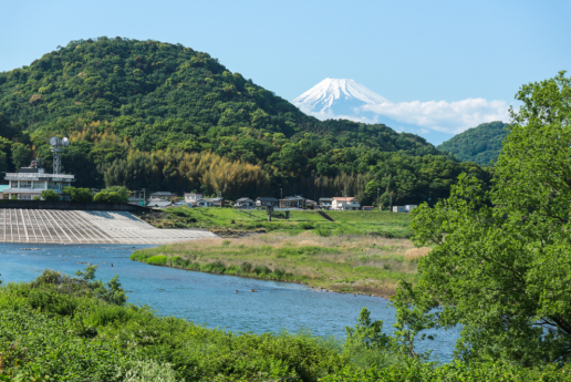 狩野川土手の遊歩道