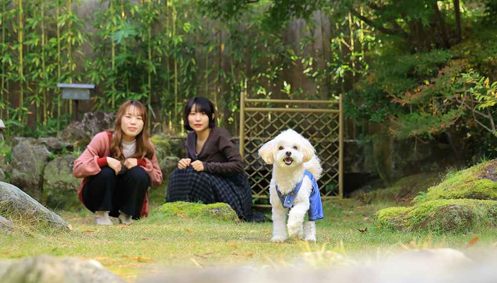 愛犬と素敵な休日を