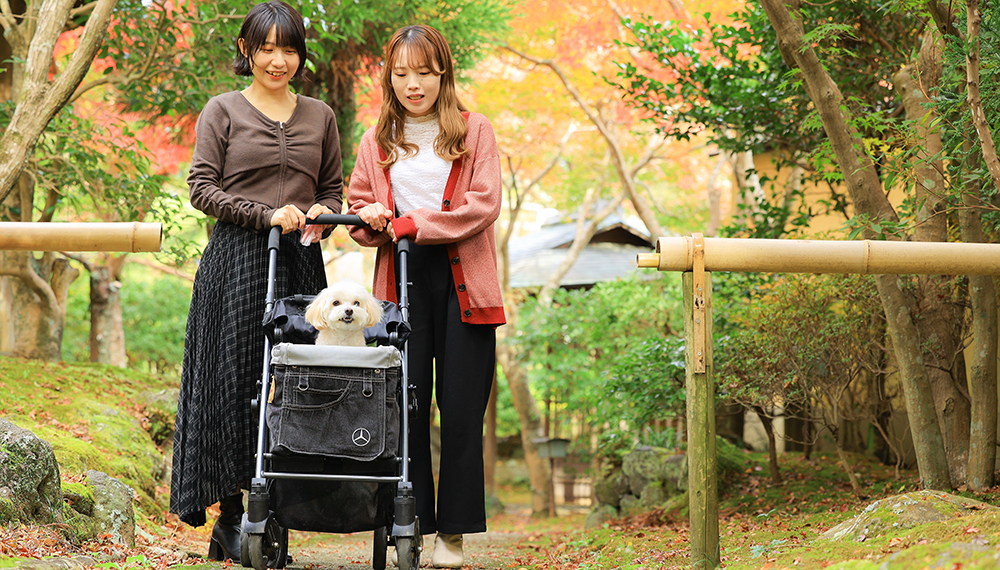 愛犬と素敵な休日を