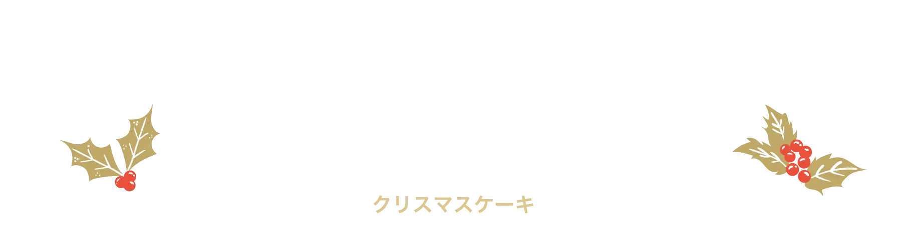 CHRISTMAS CAKES クリスマスケーキ