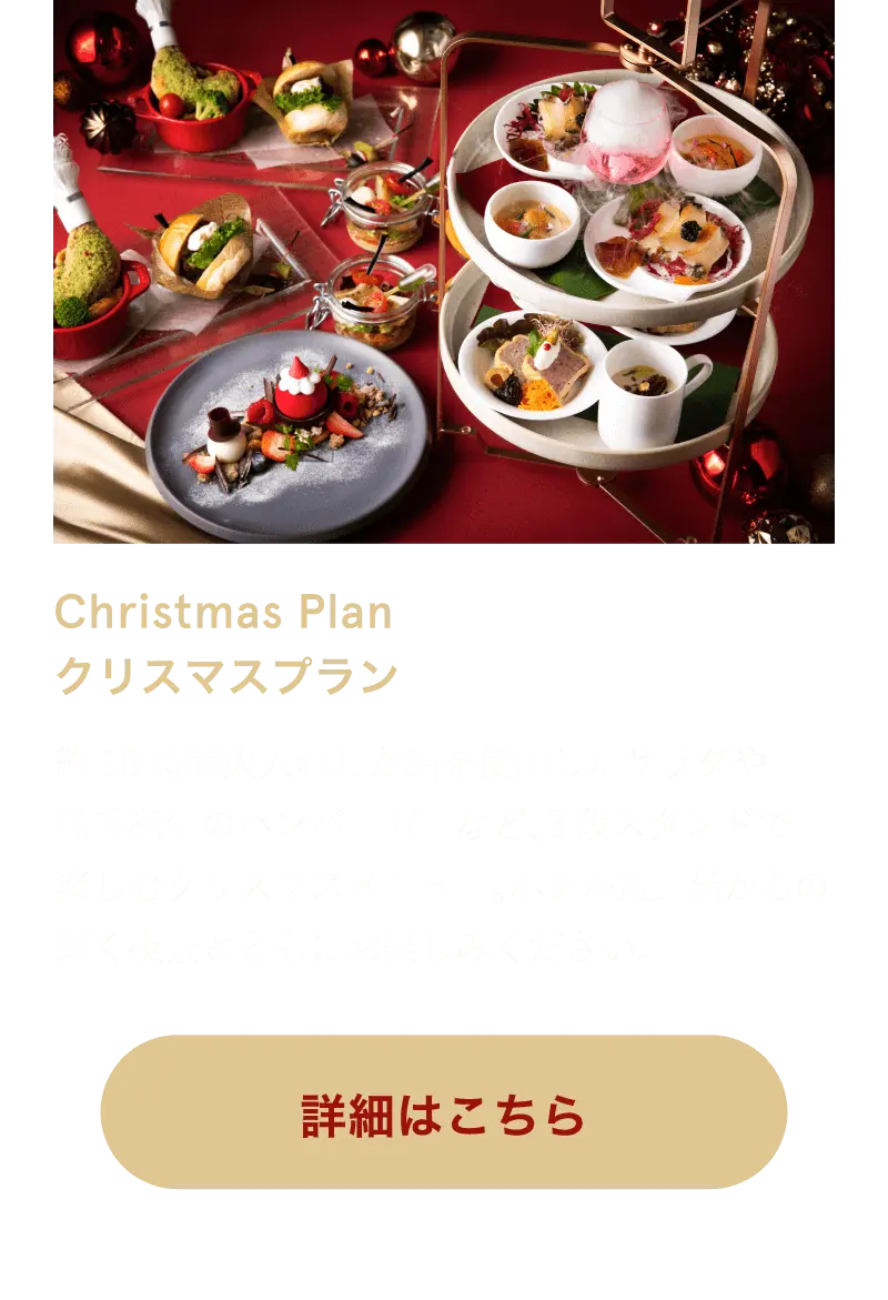 Christmas Plan クリスマスプラン