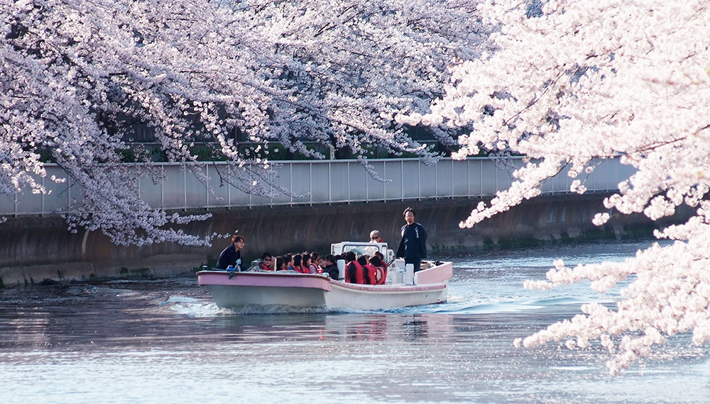 Tide of SAKURA～ 潮見の桜づくし体験 ～