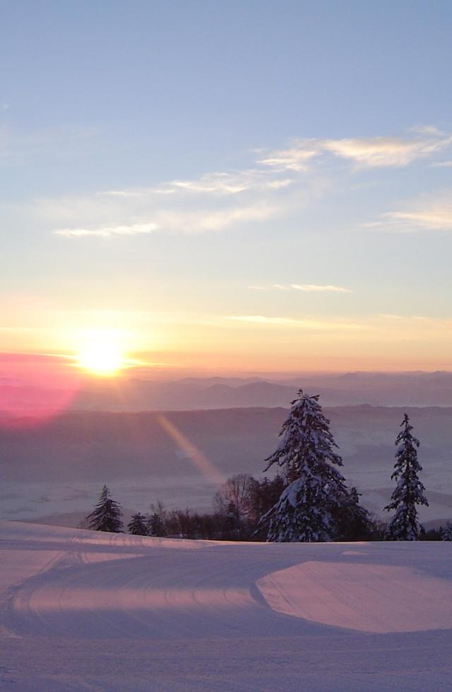 公式サイト | 富良野スキー場