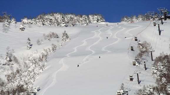 公式サイト | 志賀高原 焼額山スキー場