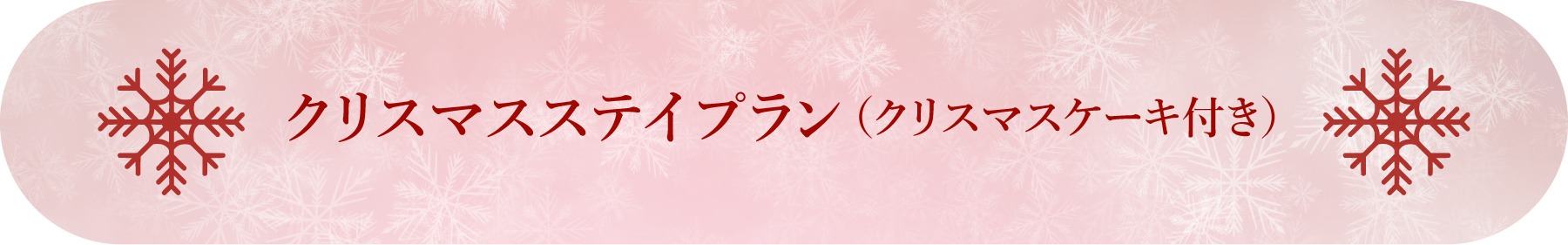 クリスマスステイプラン